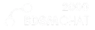 BDSM Chat 2000